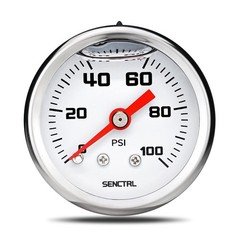 0-100 PSI Low Pressure Gauge: Back Mount, Glycerin Filled for Clear Readings