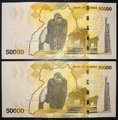 100,000 in UGANDA Currency - 2x 50,000 UGX Banknotes - NEW 2024, UNC - AUTHENTIC