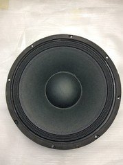 12" 350W RMS 8 Ohm Long-Throw Premium Pro Audio Woofer with 2" Coil