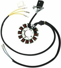 12 Coil Magneto Stator fr 200cc 250cc Lifan YX Zongshen 4Stroke ATV Scooter Quad
