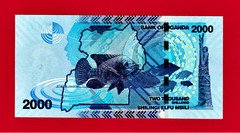 2000 2,000 Sillings 2021 UGANDA UNC Note - (Pick-50f) - Last Issue in The Serie