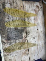 2003 Ski Doo Mxz Rev Hood Screens