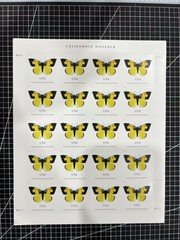 2019 - #5346 California Dogface Butterfly/Collection - A total of 100 stamps