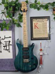 2024 PRS SE Swamp Ash Special - Iri Blue