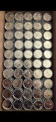 2026-D - 50 Roll Box - Enduring Liberty Semiquincentennial Half Dollar Rolls