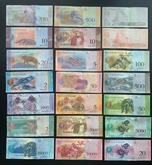 21 PCS Animal Banknotes Lot. Venezuela Paper Money Currency Set. Venezuelan Bill