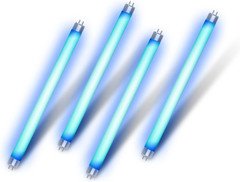 32050 6-Watt Replacement Bulbs Compatible with Dynatrap DT2000XL and DT2000XLP,