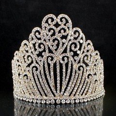 5.25"h  Austrian Crystal Rhinestone Tiara With Hair Combs Crown Gold-pla T11990g