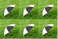 6PK 48" Auto Open Umbrella