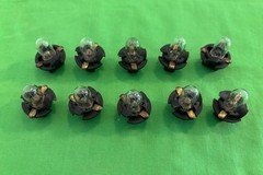 73-87 Chevy GMC Truck Instrument Cluster Bulbs (10) Blazer Jimmy Suburban OEM GM