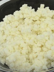Active Milk Kefir Grains – 2 Tablespoons Made In Florida