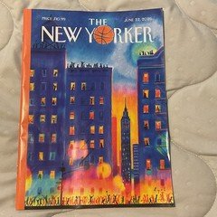 back issues 2024 2025 2026 The NEW YORKER MAGAZINE "You Pick" current issues