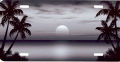 Beach Scene with Palm Trees Grey License Plate - SM04