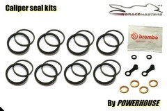 BMW S1000 RR 2014 front brake caliper seal repair rebuild kit set