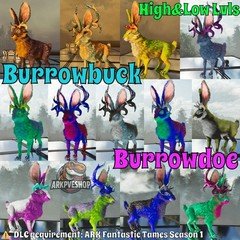 Burrowbuck Burrowdoe Rabbit High&Low Lvls Clone ASA PVE 🦖ARK Survival Ascended