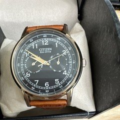 Citizen Eco-Drive Leather Strap Brown Black Dial Day/Date WR30m 42mm