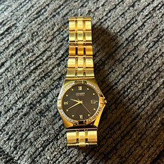 Citizen Eco-Drive Quartz Gold Tone Stainless Bracelet Black Dial Roman Date