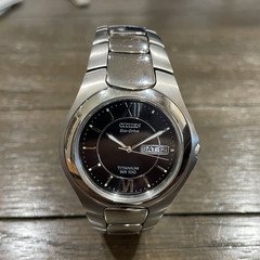 Citizen Eco-Drive Titanium Quartz 100m Day/Date Black Dial 38mm Watch