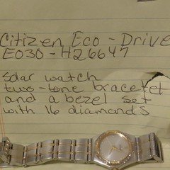 Citizen Eco-Drive Women's Two-Tone Stainless Steel Bracelet Watch, Diamond Bezel