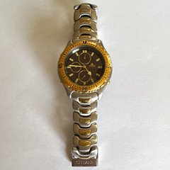 Citizen Men’s ecodrive dive watch circa 1995. Needs new battery.