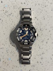 Citizen Orca Titanium Watch