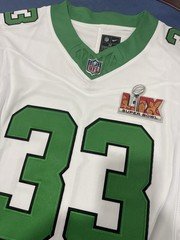 Cooper DeJean #33 Philadelphia Eagles Choice of Kelly Green All Stitched Jersey