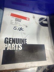 Cummins Rear Crankshaft Seal 6609787