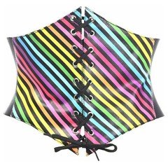 Daisy Corset Lavish Rainbow Stripes Lace-Up Waist Belt Cincher Festival Candy