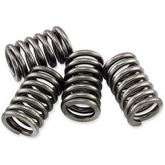EBC Clutch Springs CSK16
