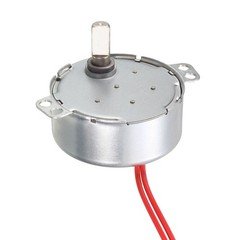 Electric Motor AC 24V 15-18 RPM D Shaft CCW/CW Turntable Motor for DIY
