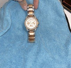 Express Women’s Two-Tone Stainless Steel Crystal Bezel Quartz Watch 50m