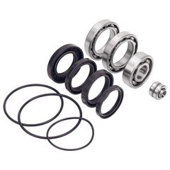 For Honda FourTrax 300 TRX300 TRX 300FW Rear Differential Bearings Seals Kit