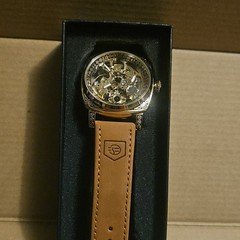 FORSINING Skeleton Dial Automatic Men's Wristwatch Gold Tone Brown Leather