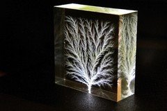 Frozen Lightning / Lichtenberg Figure 2" x 2” x 0.75" Physics Sculpture
