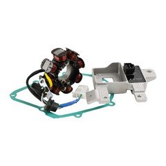 Generator Stator Regulator Rectifier & Gasket For Honda ANF125 AFS125 Wave 05-11