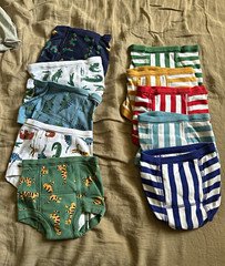 Hanna Andersson Boys XS Training Pants Underwear Organic Cotton NWT
