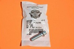 HARLEY NEW OEM BRAKE CALIPER BOLT  2000 Softail Big Twins & XL 44160-00