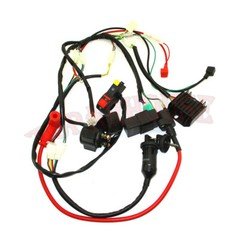 Ignition CDI Kit Wiring Loom Harness Key Switch Fit For Zongshen 190cc Pit Bike