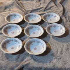 Johann Haviland Bavaria Germany Chippendale Floral Porcelain Dessert Bowls Set 7