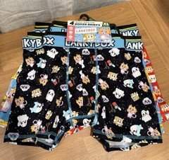 Lanky Box Boys Athletic Boxer Briefs Pack Of 4 Size XL (14-16)