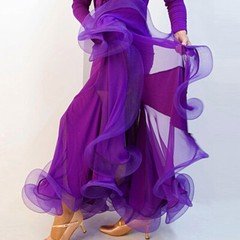 Latin Tango Waltz Modern Dance Ballroom Fishtail Skirts Dancewear Practice Dress