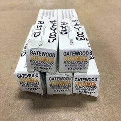 NEW Gatewood Ruby Tip R2045SSSA65 with 50 Mesh Screen .020 (LOT OF 5)
