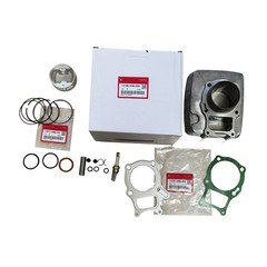 OEM Cylinder Piston Gasket Top End Kit For Honda Sportrax 250 01-08 TRX250EX 2x4