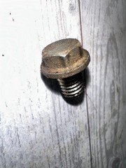 OEM powersport bolt Honda Yamaha Kawasaki Suzuki 