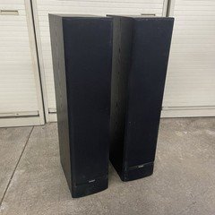 Paradigm Phantom V2 Pair Tested