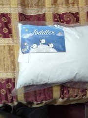 Pharmedoc Toddler Pillow