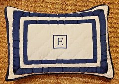 Pottery Barn PB Kids Monogram E Crib Toddler Bed Pillow & Cover 16”x12”