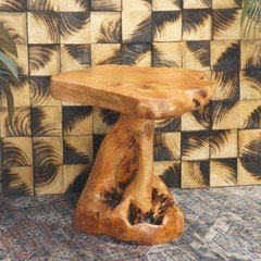 Rustic Cedar Root Plant Stand & Mushroom Stool Natural Shaped Side Table 13.5"H