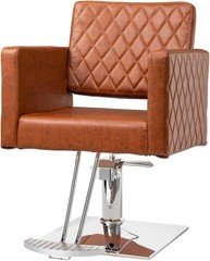 Salon Chair for Hair Stylist Hydraulic Barber Styling Chair Beauty Spa Equipment