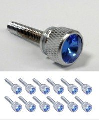 (Set/12) Chrome Dash Panel Long Screws for Kenworth 2001 & Earlier, Blue Jewel 